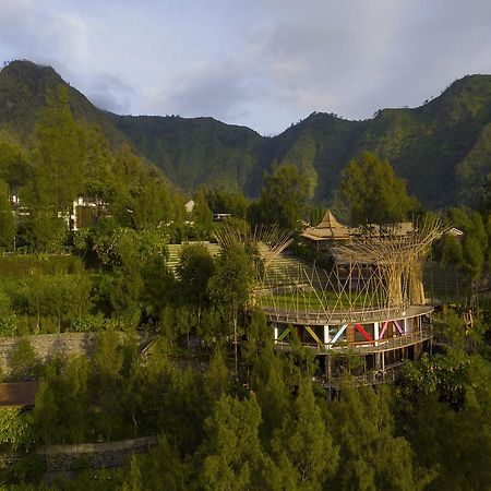 Pagupon Bromo Budget Lodge エクステリア 写真